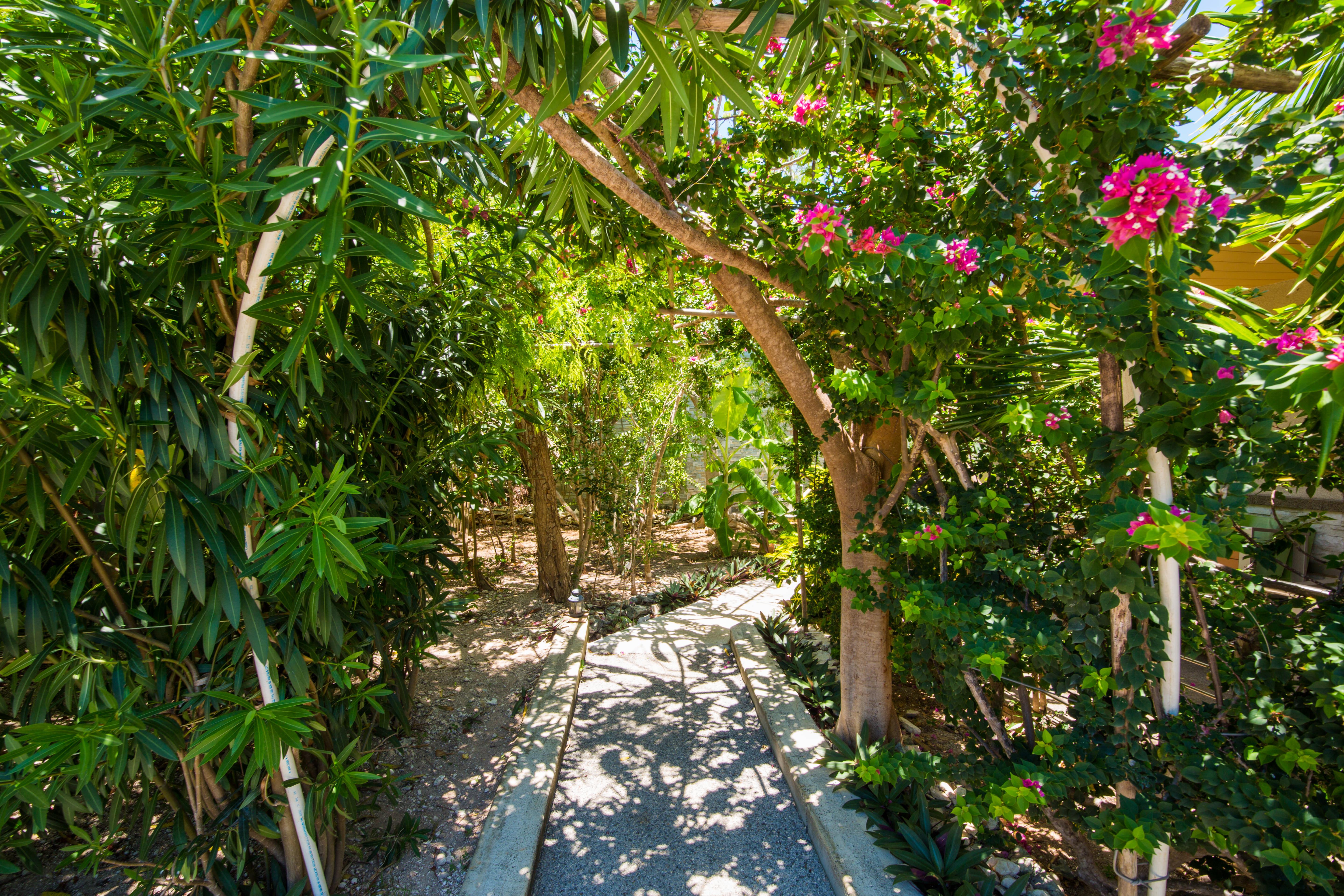 One On Marlin Resort (Adults Only) Turtle Cove Exterior foto